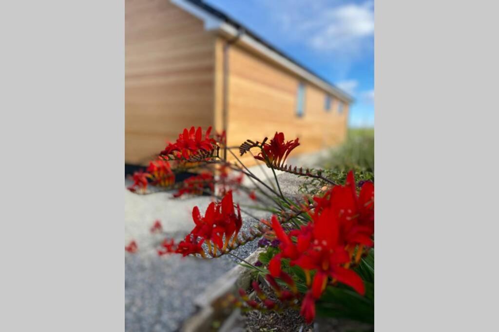The Gallafield, Self Catering Bungalow , Stornoway ストーノウェー エクステリア 写真